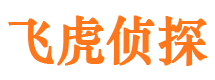 辛集市侦探公司